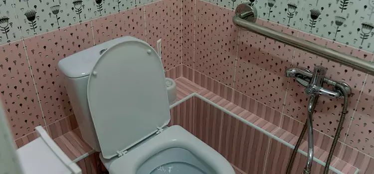 Meeting Diverse Needs With Accessible Restroom Solutions in Honolulu, HI